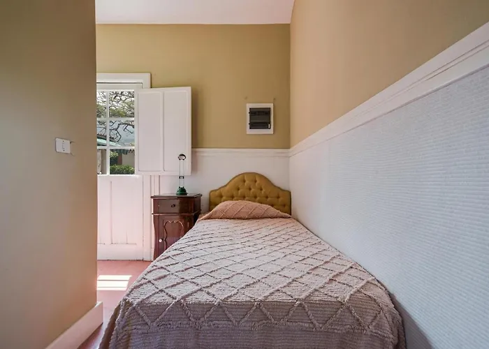 Orovales Puerto de la Cruz (Tenerife)